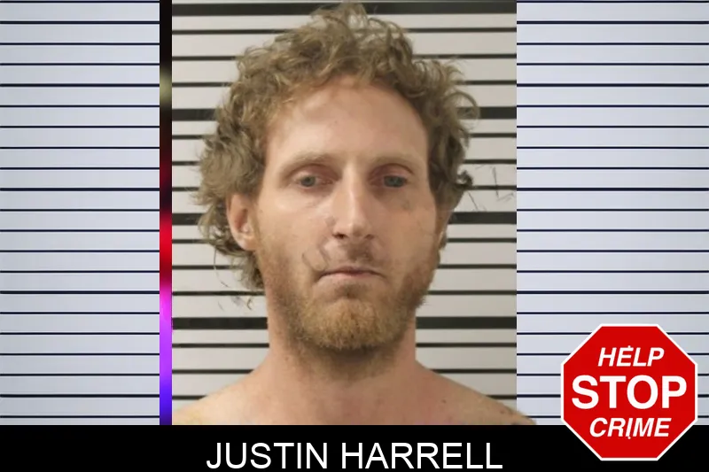 Justin Harrell mugshot – Toombs County , Georgia Justin Harrell mugshot