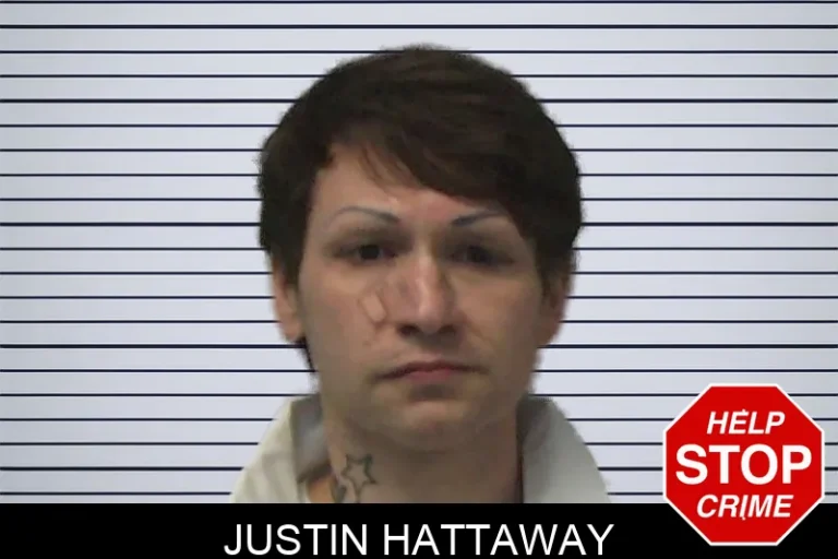 Justin Hattaway mugshot – Ware County , Georgia Justin Hattaway