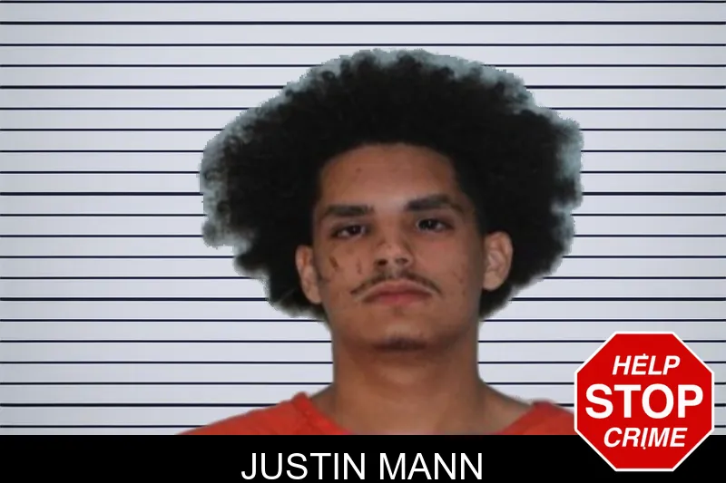 Justin Mann mugshot – Seminole County , Georgia Justin Mann mugshot
