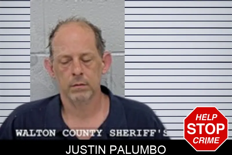 Justin Palumbo mugshot