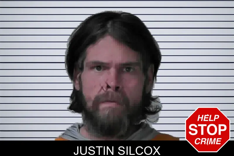 Justin Silcox mugshot
