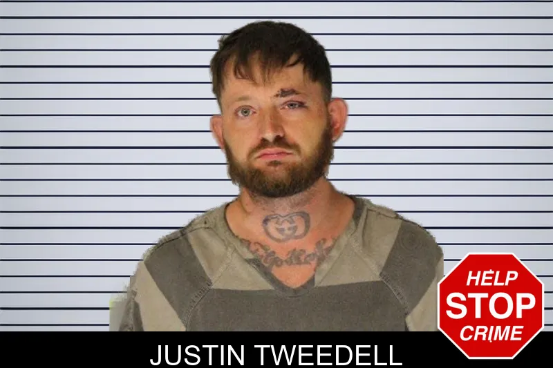 Justin Tweedell mugshot