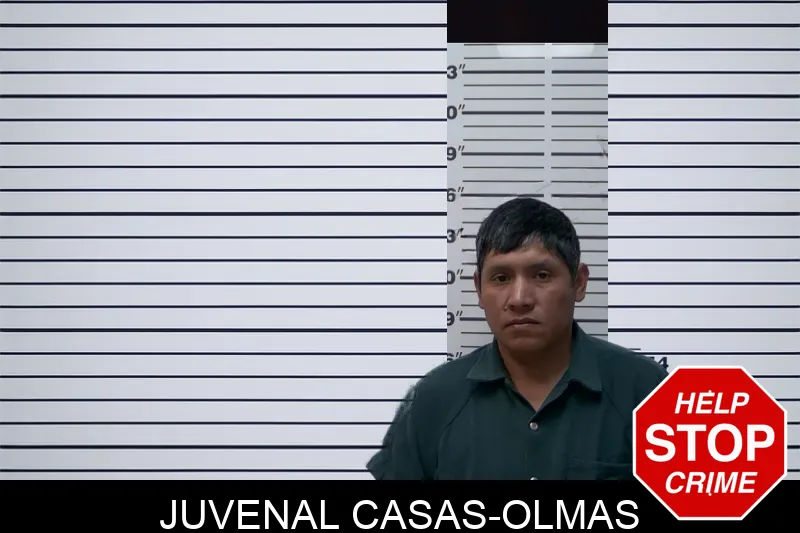 Juvenal Casas-Olmas mugshot