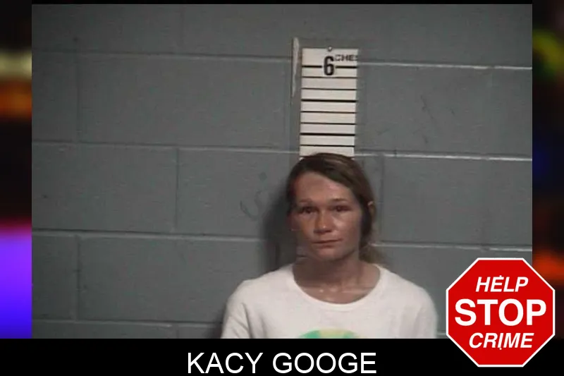 Kacy Googe mugshot