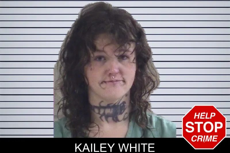 Kailey White mugshot