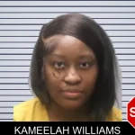 Kameelah Williams mugshot