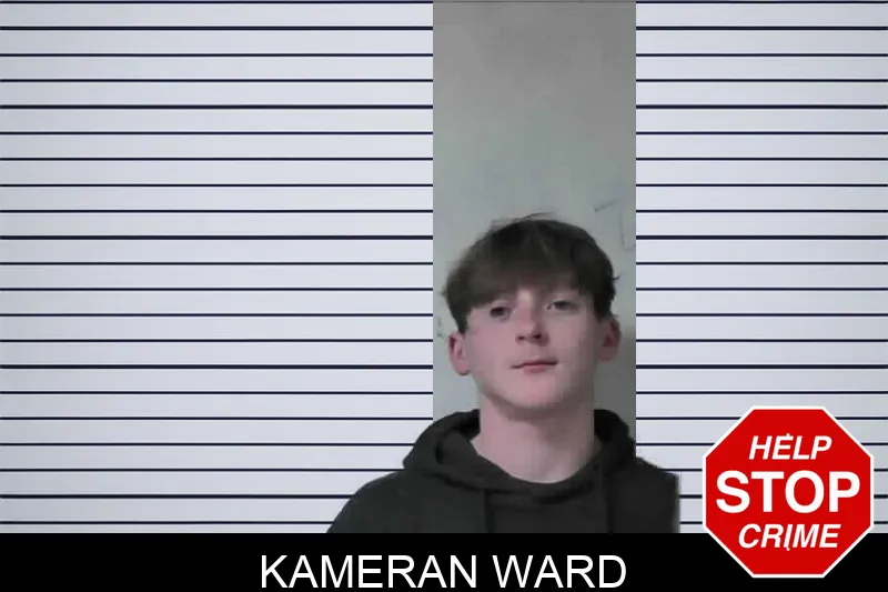 Kameran Ward mugshot