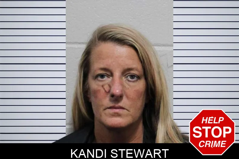 Kandi Stewart mugshot