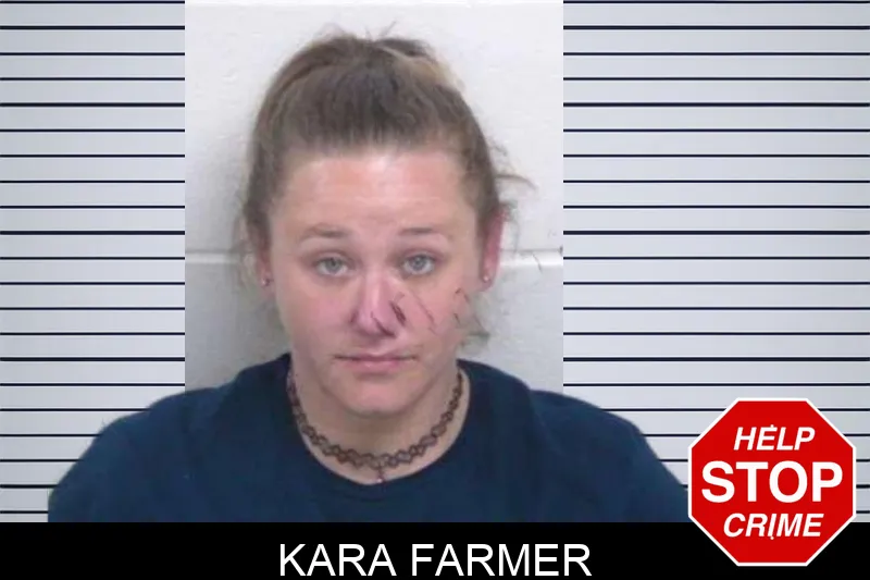 Kara Farmer mugshot