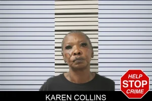 Karen Collins mugshot