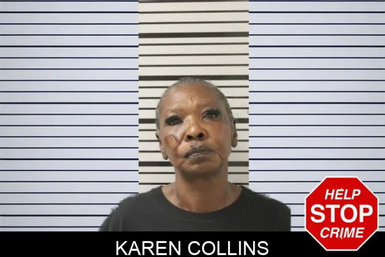 Karen Collins mugshot – Toombs County , Georgia Karen Collins