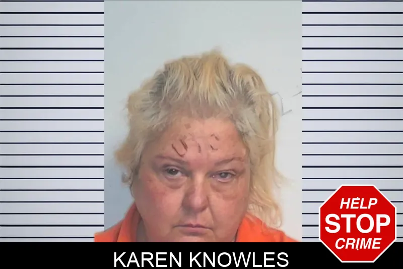 Karen Knowles mugshot – Berrien County , Georgia Karen Knowles mugshot