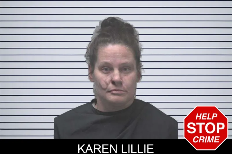 Karen Lillie mugshot