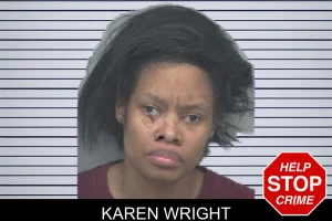 Karen Wright mugshot