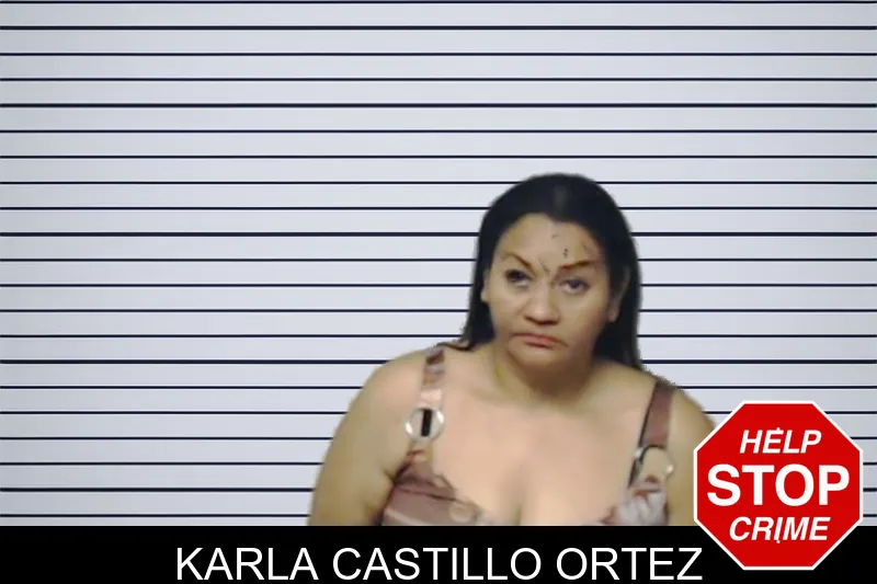Karla Castillo Ortez mugshot