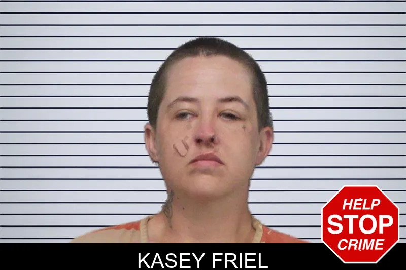 Kasey Friel mugshot – White County , Georgia Kasey Friel mugshot