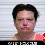 Kasey Holcomb mugshot – Bartow County , Georgia Kasey Holcomb mugshot