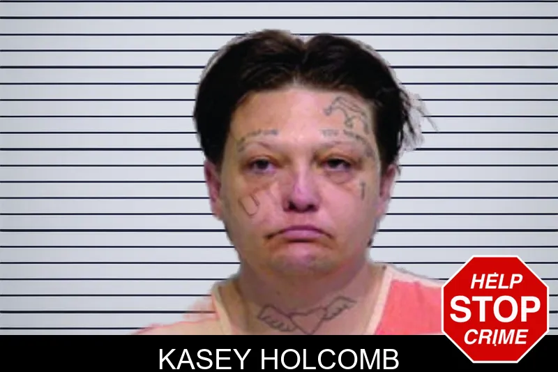 Kasey Holcomb mugshot – Bartow County , Georgia Kasey Holcomb mugshot