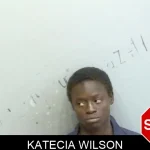 Katecia Wilson mugshot – Fulton County , Georgia Katecia Wilson mugshot