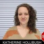 Katherine Hollibush mugshot – Hall County , Georgia Katherine Hollibush mugshot