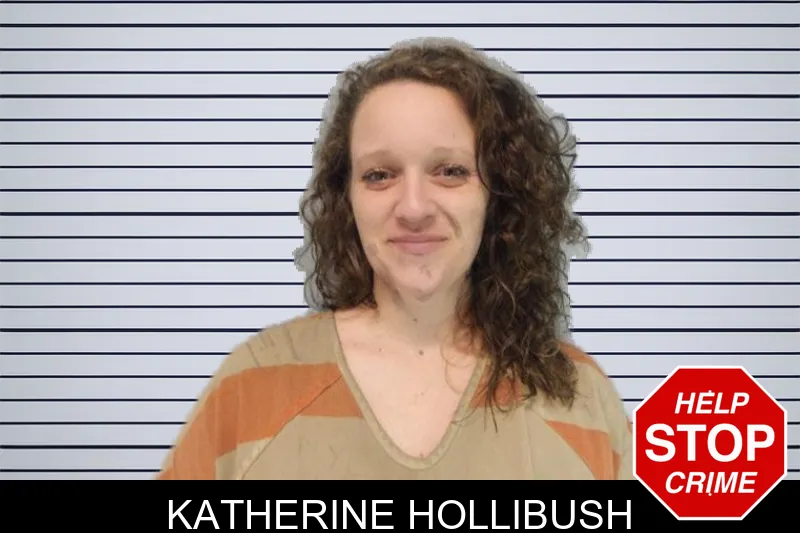 Katherine Hollibush mugshot – Hall County , Georgia Katherine Hollibush mugshot