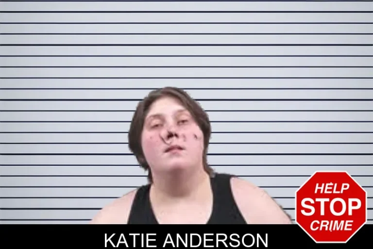 Katie Anderson mugshot – Banks County , Georgia Katie Anderson