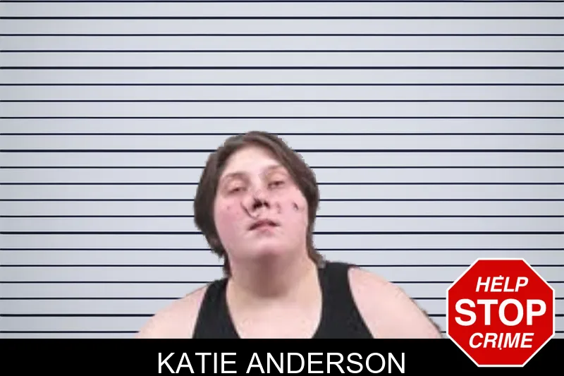 Katie Anderson mugshot