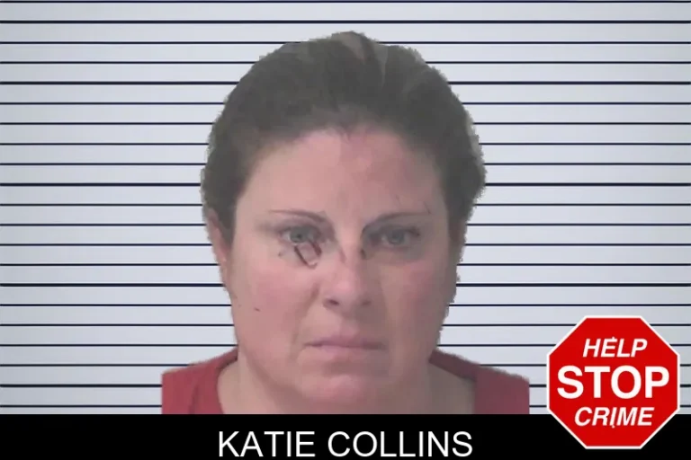Katie Collins