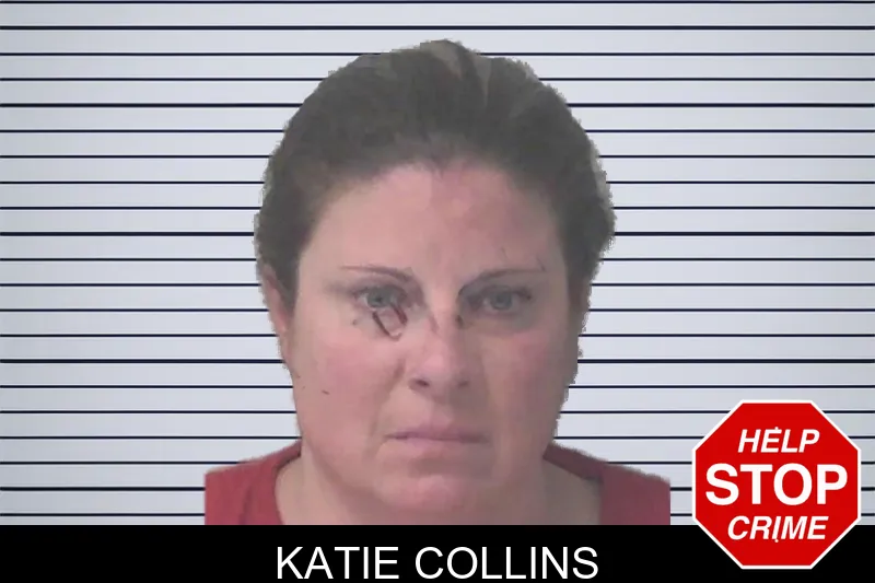 Katie Collins mugshot