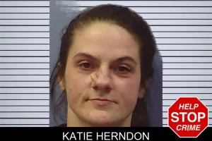 Katie Herndon mugshot