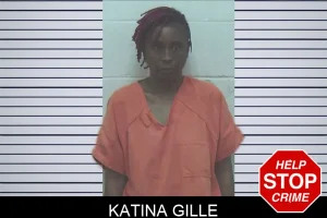 Katina Gille mugshot