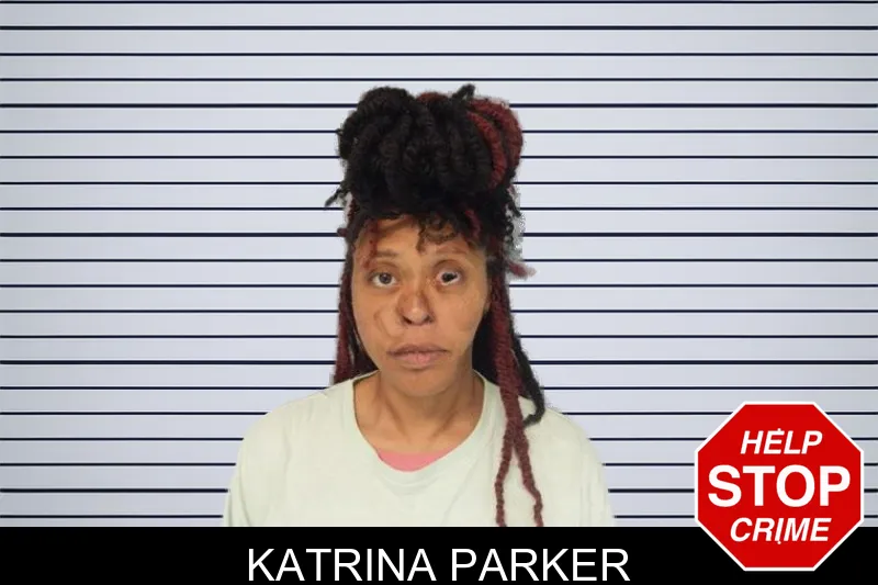 Katrina Parker mugshot – Hall County , Georgia Katrina Parker mugshot