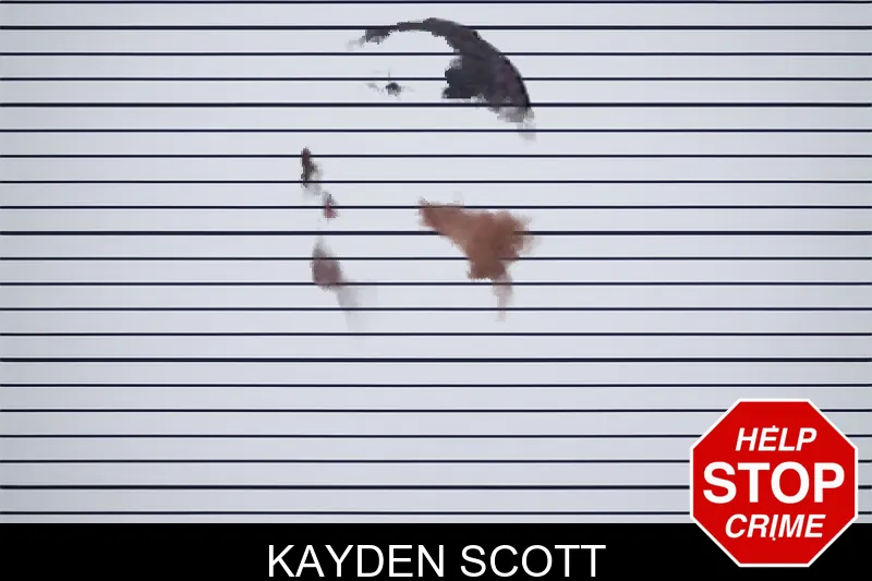 Kayden Scott mugshot