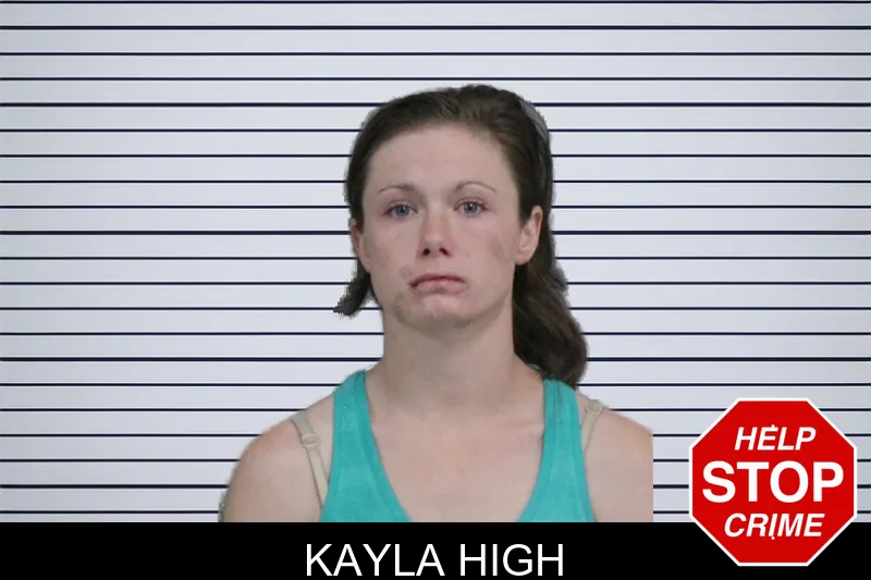 Kayla High mugshot