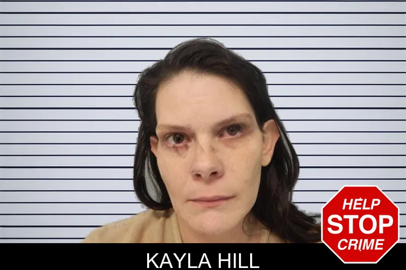 Kayla Hill mugshot – Hall County , Georgia Kayla Hill mugshot