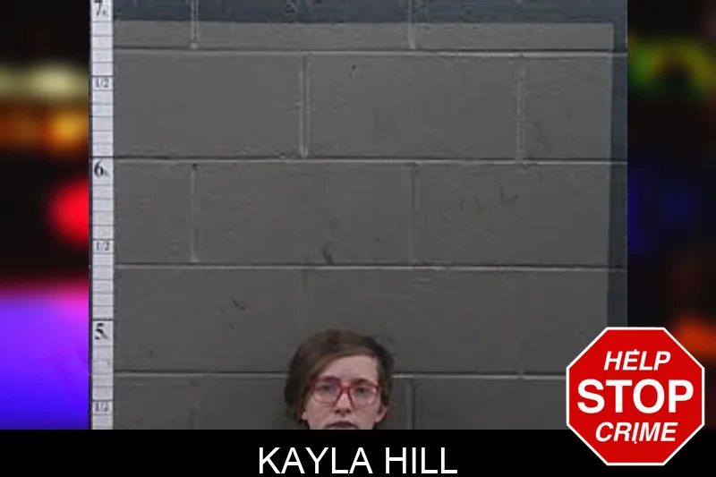 Kayla Hill mugshot