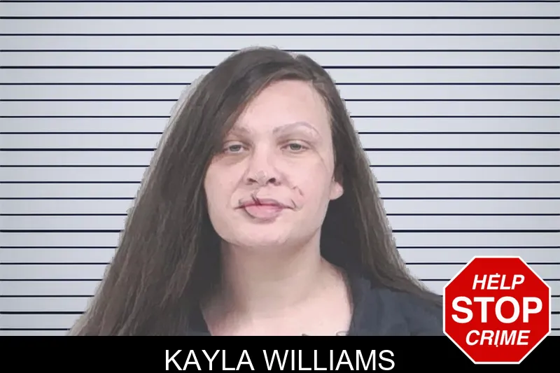 Kayla Williams mugshot