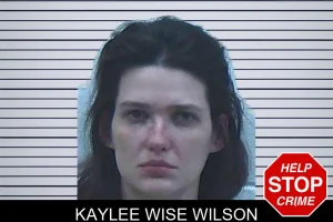 Kaylee Wise Wilson mugshot