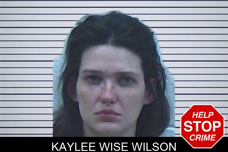 Kaylee Wise Wilson mugshot