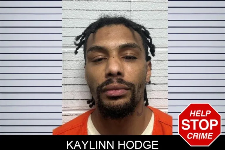 Kaylinn Hodge mugshot – Dade County , Georgia Kaylinn Hodge