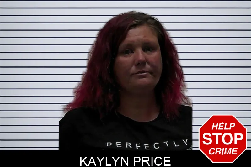 Kaylyn Price mugshot – Pierce County , Georgia Kaylyn Price mugshot