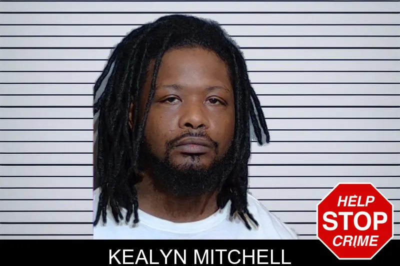 Kealyn Mitchell mugshot – Glynn County , Georgia Kealyn Mitchell mugshot