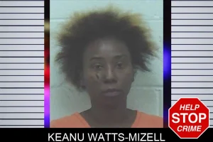 Keanu Watts-Mizell mugshot