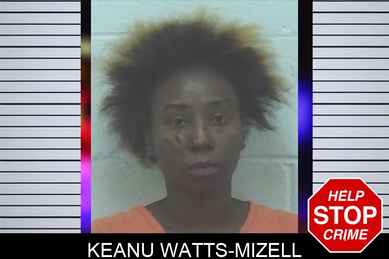 Keanu Watts-Mizell mugshot