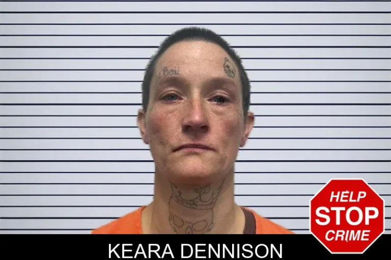 Keara Dennison mugshot – Dade County , Georgia Keara Dennison