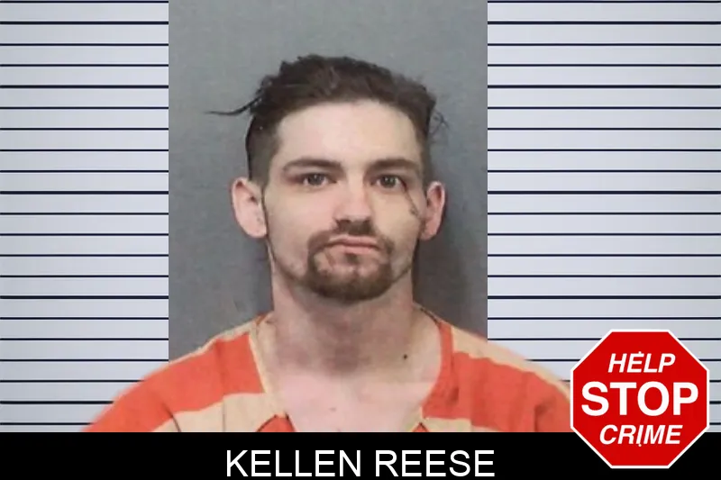 Kellen Reese mugshot