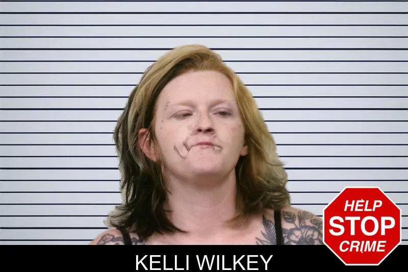 Kelli Wilkey mugshot