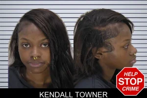 Kendall Towner mugshot
