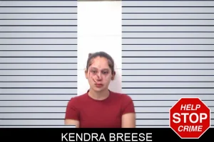 Kendra Breese mugshot