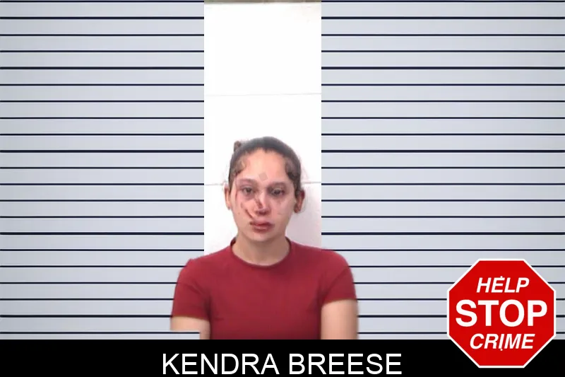 Kendra Breese mugshot